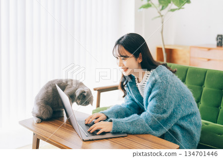 A cat peeking at a woman's computer 134701446