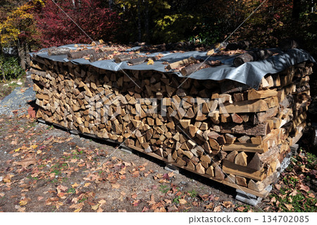 Cut, split, stacked, and waiting to dry for the stove 134702085