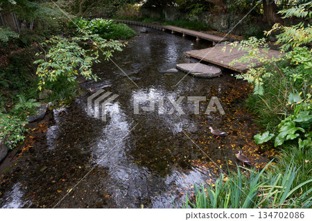 沿著源北川河濱步道漫步，享受愜意時光。 134702086