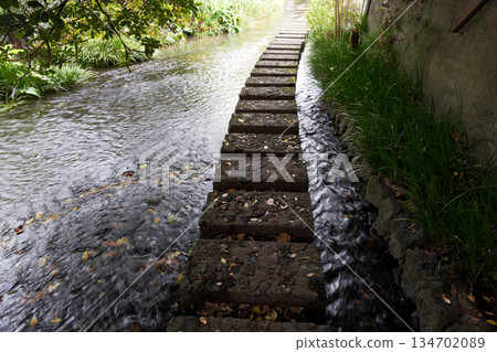 沿著源北川河濱步道漫步，享受愜意時光。 134702089