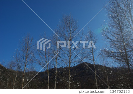 In winter, Kaida Plateau in Kiso Town, Nagano Prefecture, is home to snow-covered pastures, and beyond that you can see the snow-capped Mount Mitake. 134702133