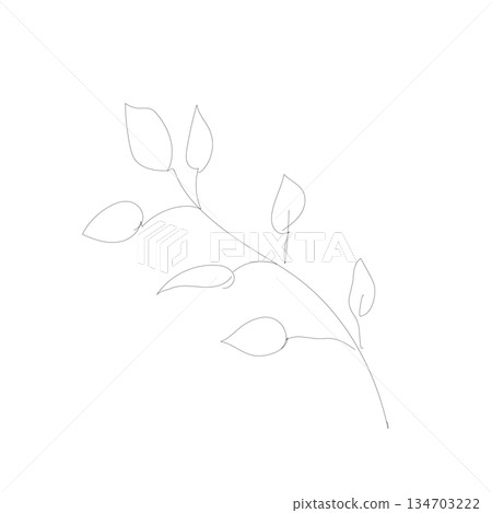 Monochrome line drawing of an olive branch with a hand-drawn feel. Natural wedding or logo design illustration 134703222