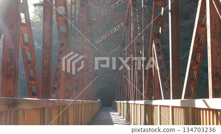 Abandoned railway line and iron bridge Abandoned railway line and iron bridge 134703236