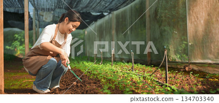 A young woman caring for seedlings inside a shaded greenhouse 134703340
