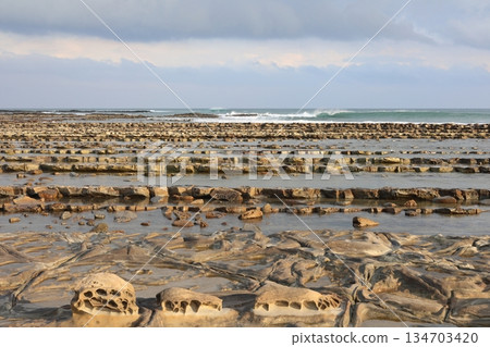 Wave-like rocks in Aoshima, Miyazaki: strange rock formations in the foreground and white waves of the Pacific Ocean in the distance Wave-like rocks in Aoshima, Miyazaki: strange rock formations in the foreground and white waves of the Pacific Ocean in the distance 134703420