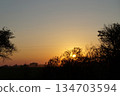 The setting sun casts a warm orange light on the trees and fields, creating a serene sunset atmosphere. 134703594