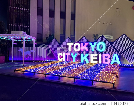 大井賽馬場的燈飾 134703731