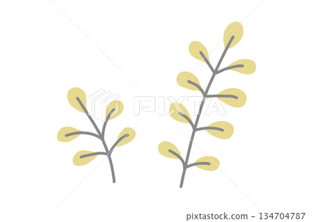 手繪植物葉片插圖，黃灰色向量圖 134704787