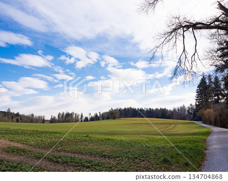 Pfannenstil, Switzerland - March 9th 2025: Idyllic landscape with fields, forests and hills. Pfannenstil, Switzerland - March 9th 2025: Idyllic landscape with fields, forests and hills. 134704868