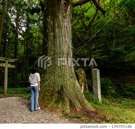 女人和巨樹的神龕 134705186