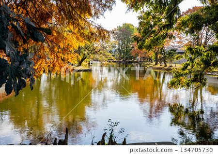 Winter scenery at Shinbashira Park (Miyakonojo City) 134705730