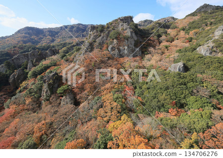 小豆島，Sakansukei的秋葉（從索道） 134706276