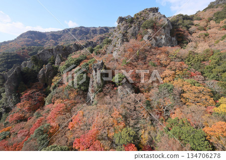 Shodoshima, the autumn leaves of Sakansukei (from the ropeway) 134706278