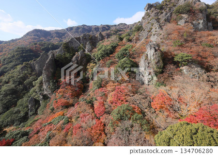 Shodoshima, the autumn leaves of Sakansukei (from the ropeway) 134706280