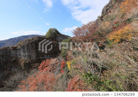 小豆島,Sakansukei的秋葉(從索道) 小豆島,Sakansukei的秋葉(從索道) 134706289