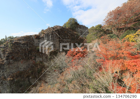 小豆島,Sakansukei的秋葉(從索道) 小豆島,Sakansukei的秋葉(從索道) 134706290
