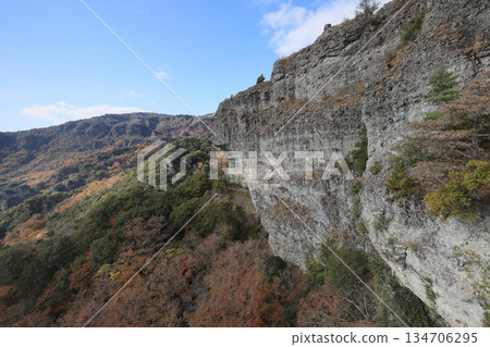 小豆島,Sakansukei的秋葉(從索道) 小豆島,Sakansukei的秋葉(從索道) 134706295