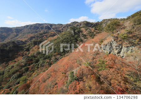 Shodoshima, the autumn leaves of Sakansukei (from the ropeway) Shodoshima, the autumn leaves of Sakansukei (from the ropeway) 134706298