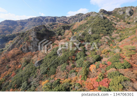 小豆島，Sakansukei的秋葉（從索道） 134706301