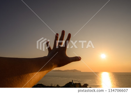 棕櫚樹擋住了日落 134706607