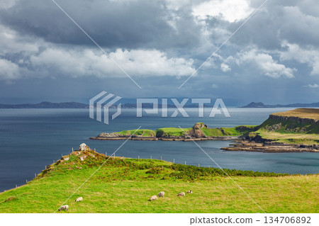 Sheep grazing on coastal cliffs overlooking sea Isle of Skye Scotland Sheep grazing on coastal cliffs overlooking sea Isle of Skye Scotland 134706892