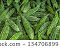 Close up of photo Fresh Bitter gourd or bitter melon background, Asian food ingredient 134706899