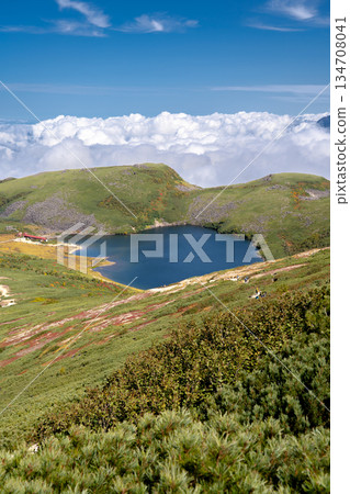 Hakuba Oike Pond and Mount Norikura - Traverse from Hakuba Oike Pond to Mount Hakuba in the Northern Alps Hakuba Oike Pond and Mount Norikura - Traverse from Hakuba Oike Pond to Mount Hakuba in the Northern Alps 134708041