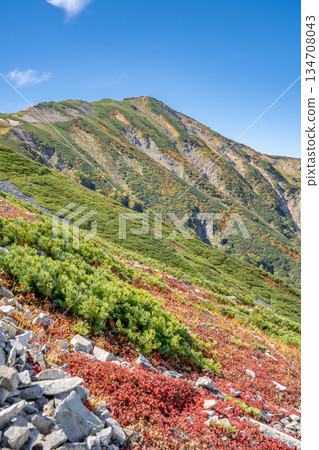 高蓮華山與秋葉：北阿爾卑斯山脈白馬禦池至白馬山 134708043