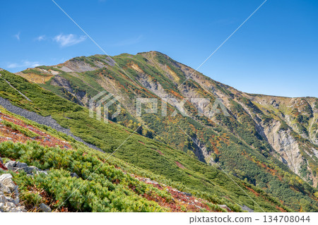 Mount Korenge and autumn leaves: Hakuba Oike Pond to Mount Hakuba in the Northern Alps 134708044