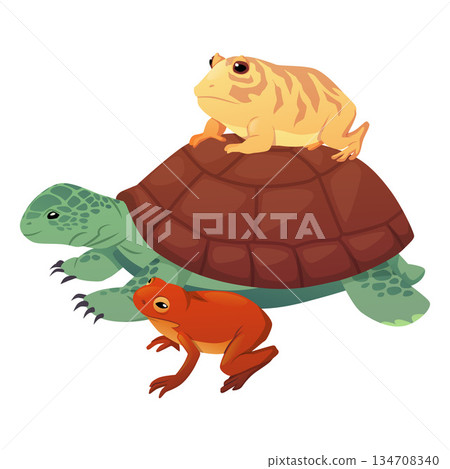Cute sea turtle with frogs, vector cartoon tortoise with toads, reptile animals, exotic pet reptile, terrarium animals 134708340