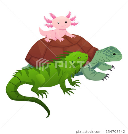 Exotic animals, turtle, iguana, axolotl, cute characters. 134708342