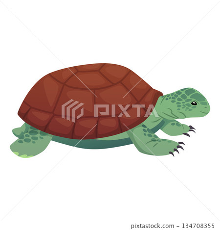 Green turtle with a brown shell, cute children's character, side view. 134708355