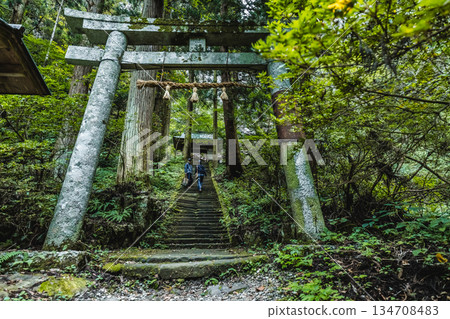 Moss-covered torii gate and stone steps 134708483