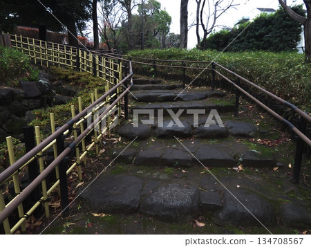 Stone-paved steps and bamboo fence leading to the Japanese garden in Soho Park. A mossy, atmospheric winter walkway. Stone-paved steps and bamboo fence leading to the Japanese garden in Soho Park. A mossy, atmospheric winter walkway. 134708567