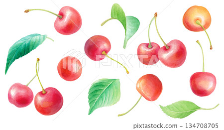 Watercolor cherry and leaf illustration set. Set of parts 134708705