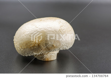 Fresh white champignon mushroom on gray surface closeup. 134708764