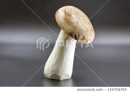 Fresh eringi oyster mushroom on dark gray surface closeup. Fresh eringi oyster mushroom on dark gray surface closeup. 134708765