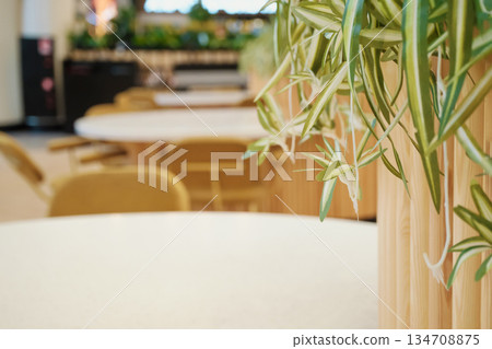 Spider plant leaves creating vibrant green accent in modern cafe interior Spider plant leaves creating vibrant green accent in modern cafe interior 134708875