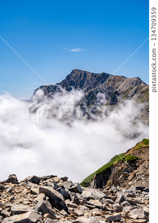 View of Mt. Hakuba and the sea of clouds from the summit of Mt. Korenge. Hakuba Oike to Mt. Hakuba in the Northern Alps. 134709359