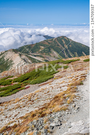 從白馬岳眺望雪倉岳和八岳。從白馬禦池橫越至北阿爾卑斯山脈的白馬岳。 134709387