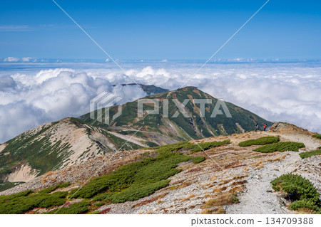 View of Mt. Yukikura and Mt. Hachigatake from Mt. Shirouma. Traverse from Hakuba-Oike to Mt. Shirouma in the Northern Alps. 134709388