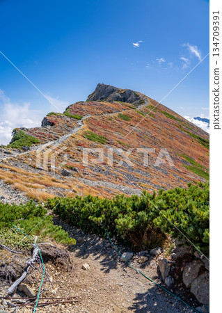 白馬山頂峰（從三國交界處攀登）白馬禦池至北阿爾卑斯山白馬山橫越路線 134709391