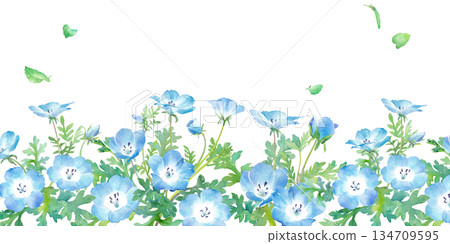 春花：粉蝶花水彩插畫，春季底部裝飾邊框背景 134709595