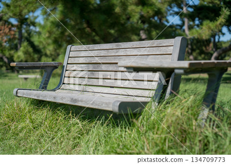 A wooden bench in the grass (Kotohiki Park) A wooden bench in the grass (Kotohiki Park) 134709773