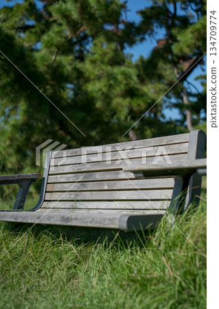 A wooden bench in the grass (Kotohiki Park) 134709774