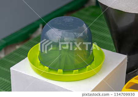 Poultry Drinker Water Poultry Drinker Water 134709930