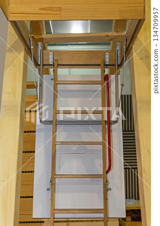 Wooden Folding Loft Ladder Wooden Folding Loft Ladder 134709957