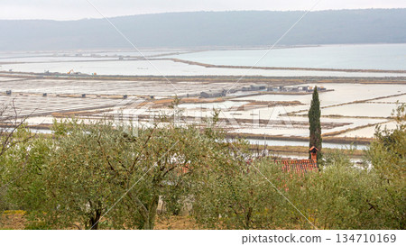 Saltpans in Secovlje Slovenia 134710169