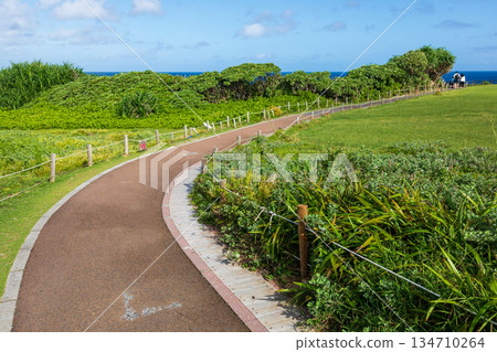 Manzamo Grassland and Godzilla Grove Landscape in Okinawa Manzamo Grassland and Godzilla Grove Landscape in Okinawa 134710264