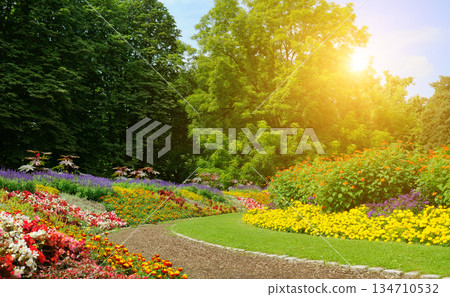 Scenic walking path through a lush green park under bright golden sunlight. 134710532